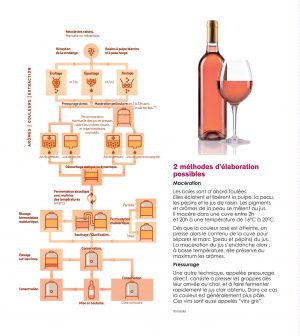 fabrication vin rosé