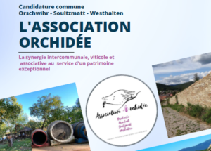 Photo de couverture du dossier de candidature de l'association Orchidée