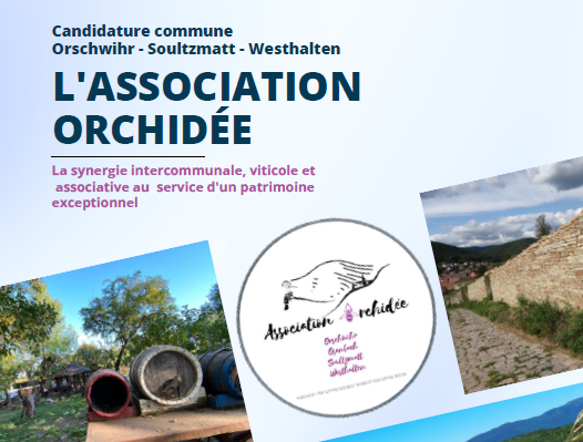 Photo de couverture du dossier de candidature de l'association Orchidée